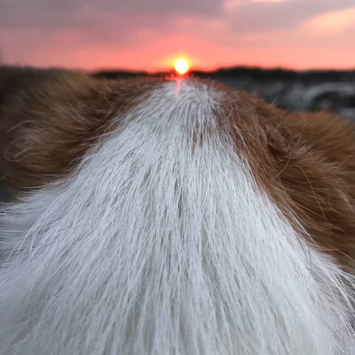 059713a4 127e 4c94 aadd bc080f983ace 1528884884958