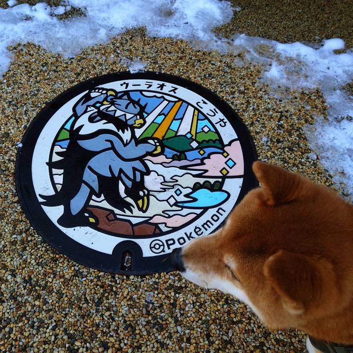 059748ea 5cb5 44c2 9f83 80d81b7601a0 1767094326674