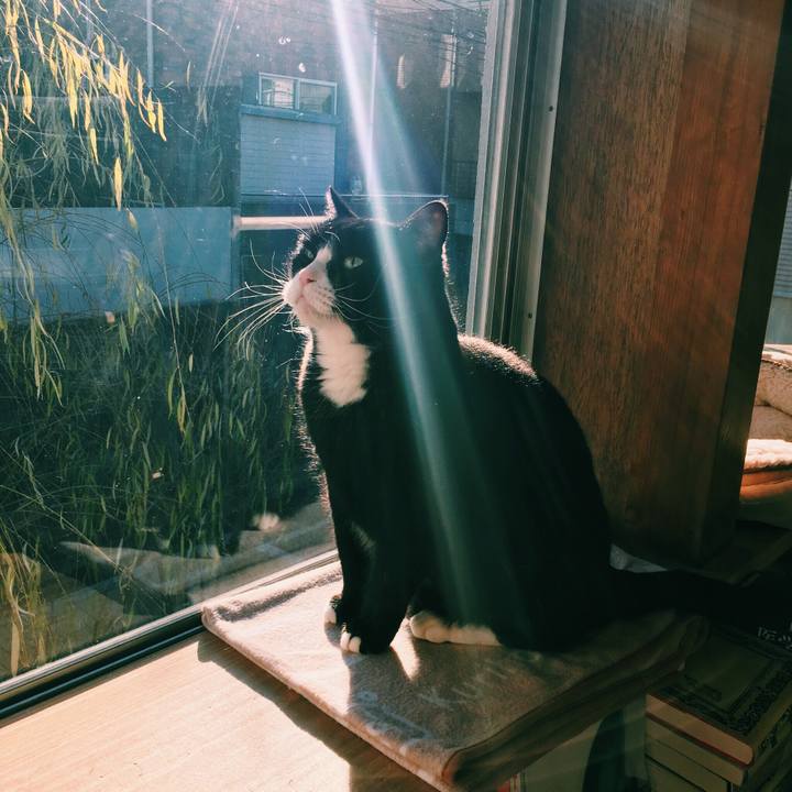 05975470 9b9a 4fac b178 ddb09e171439 1547166559909