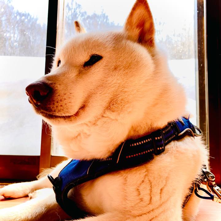 0597556f bd97 4b86 a7b8 cd771f613c7c 1647241964025