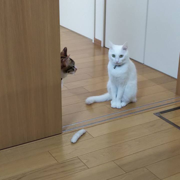 059766e4 debe 4c96 a7a9 7a38da25542d 1664325102672