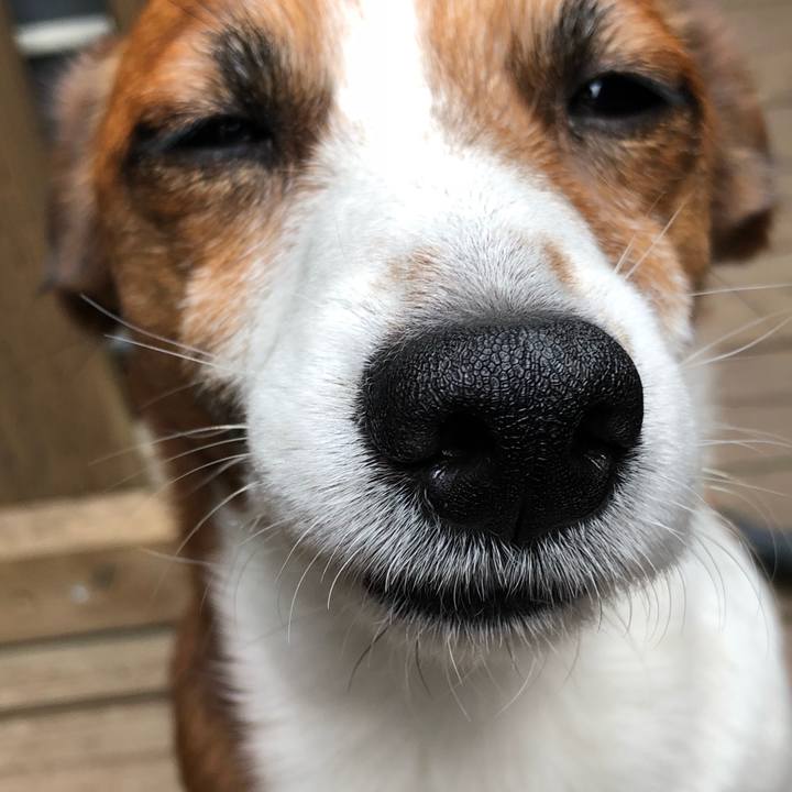 05977874 3030 4105 b143 8cbee8281385 1523709594567