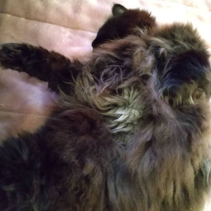 05977fbf ea24 4fec 977e 1cfdf9b06d42 1672266538577