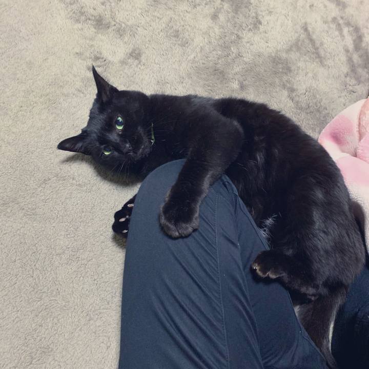 0597a92e 6c2b 4525 a244 a83136826f3b 1547557125905