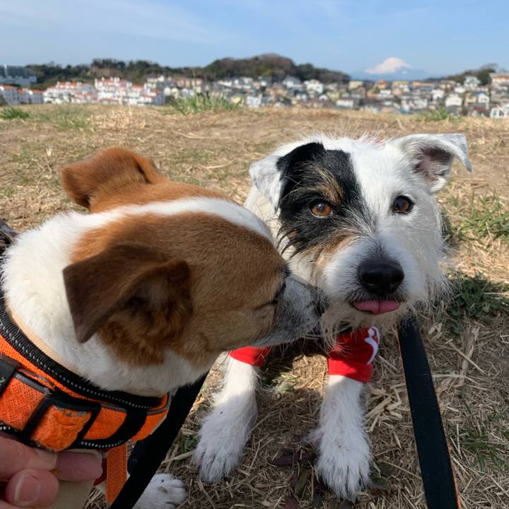 0597b118 62f9 4fc8 a4e9 59583365bd8e 1646615583625