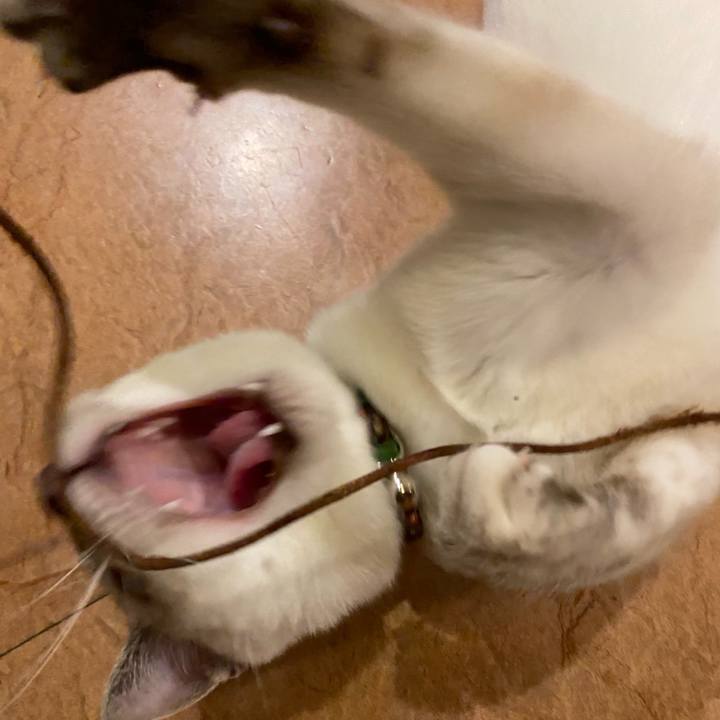 059833ac 9b15 441f 8c3c 851f239584fa 1636019394170