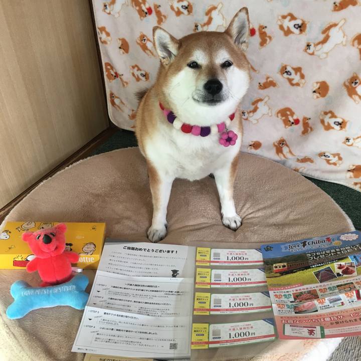 059834e6 70dd 4c21 8ea8 01d55284a135 1640662280528