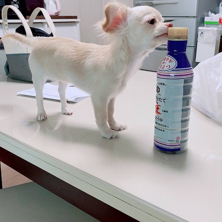 059836bf c890 494c a60c e639709244ac 1594965074289