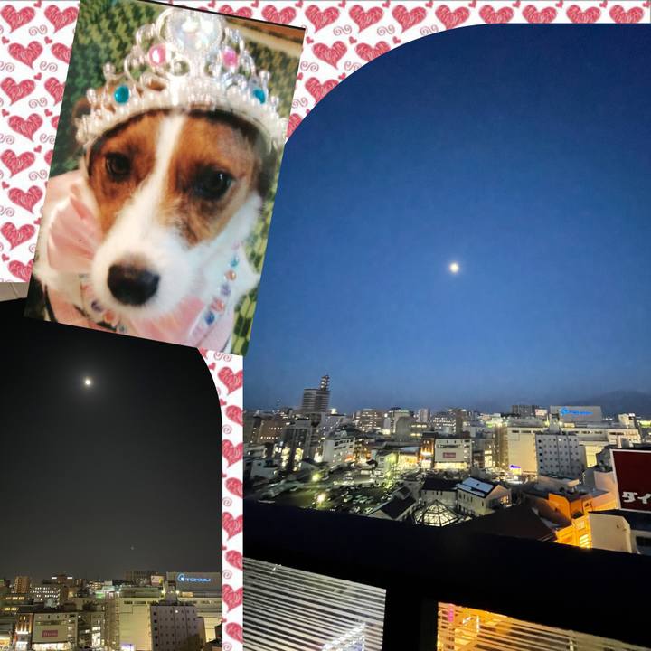 05987238 5940 44cd 8803 40cd1448133c 1644838522853