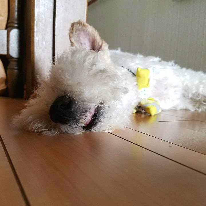 0598a025 12ed 4bdd b66f c78e416a17aa 1532153214047