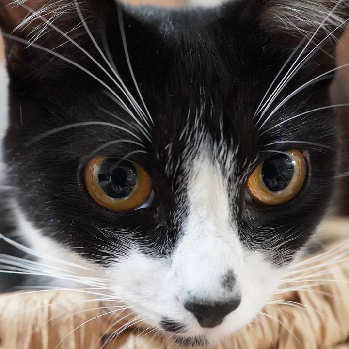 0598ad23 42e5 42cf aae6 15654e03a4d7 1604758384400