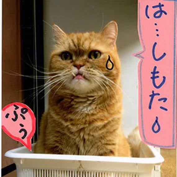 0598c03a 2421 494b b4a6 991c9085acc0 1544581868913