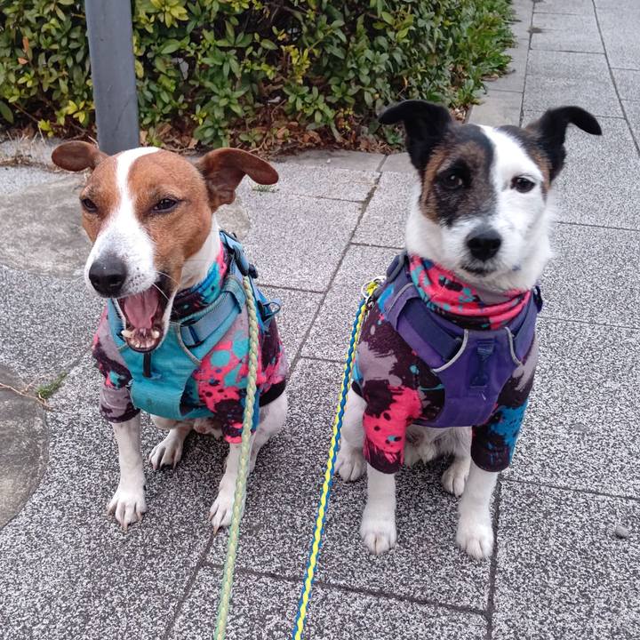 0598eb9d 0f25 41ae 89ee 32d906ca2921 1677964383852