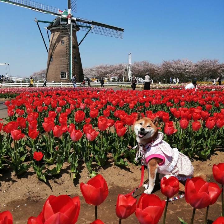 059906a8 8eef 4960 9a55 d02876a23e85 1649412823474