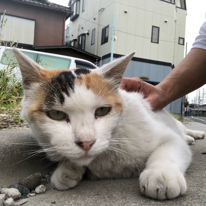 05991dbb 83be 4eaa 84d7 a7dc35443d7b 1527497535513