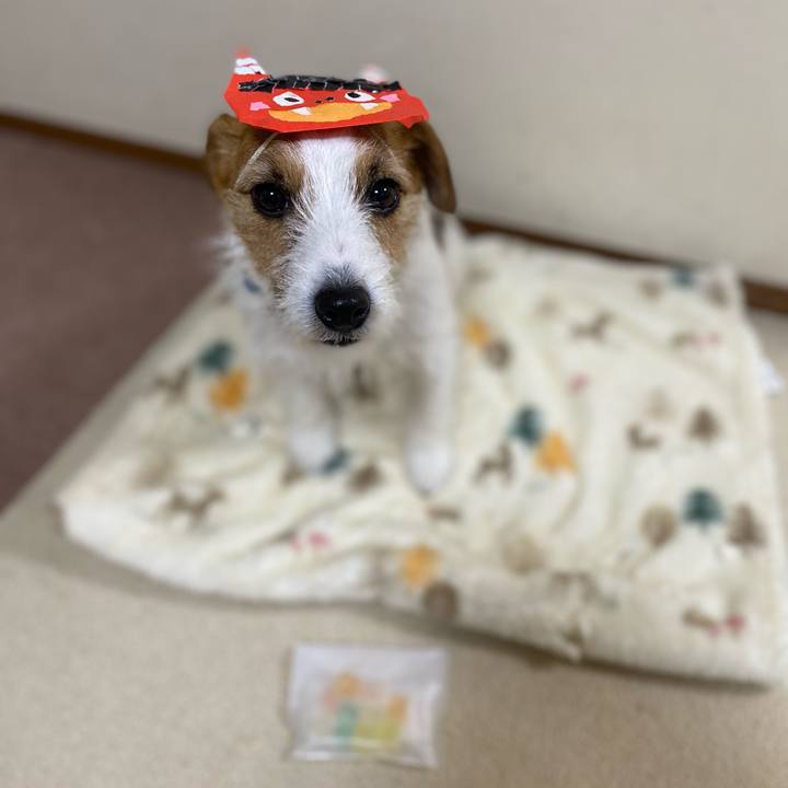 05994668 6c01 4b6d b60c 01b7a2dfa229 1738497040829