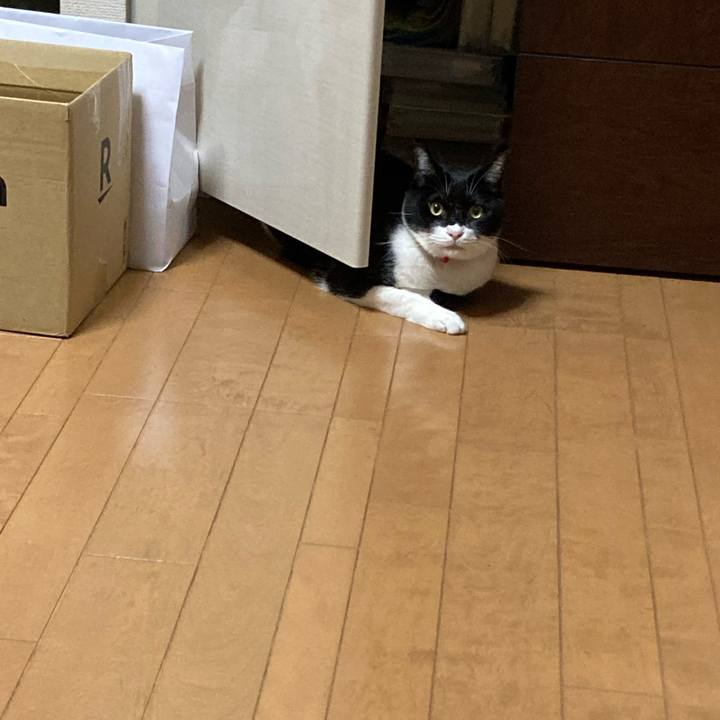 05996a84 e638 480c abf5 749cf46fd3e9 1672305336475