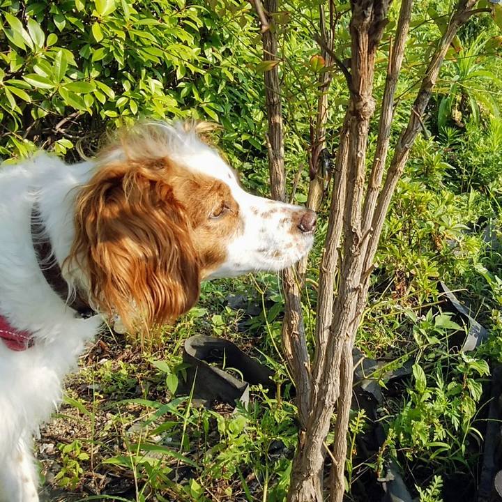 05997913 9355 4e0e 9114 57007aaf1780 1564659416912