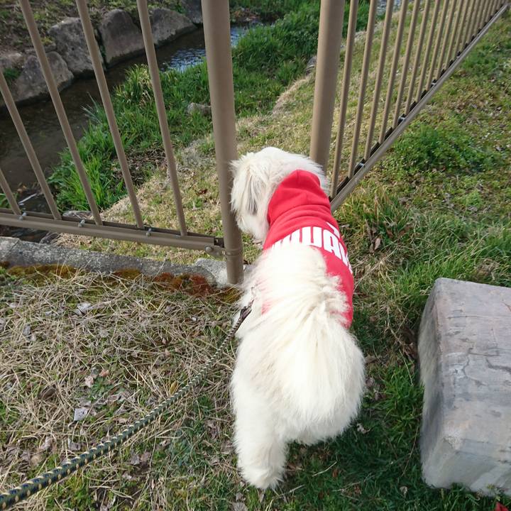 0599c5d5 8e78 46e3 97b7 ab71a898591c 1584954079142