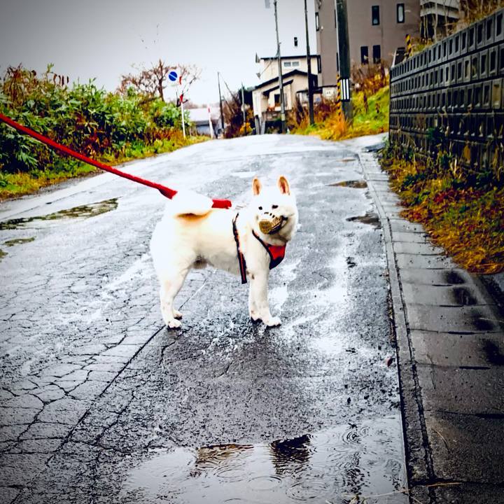 0599c8c6 db60 4a13 b6cb 667d4dfb01bf 1669677847097