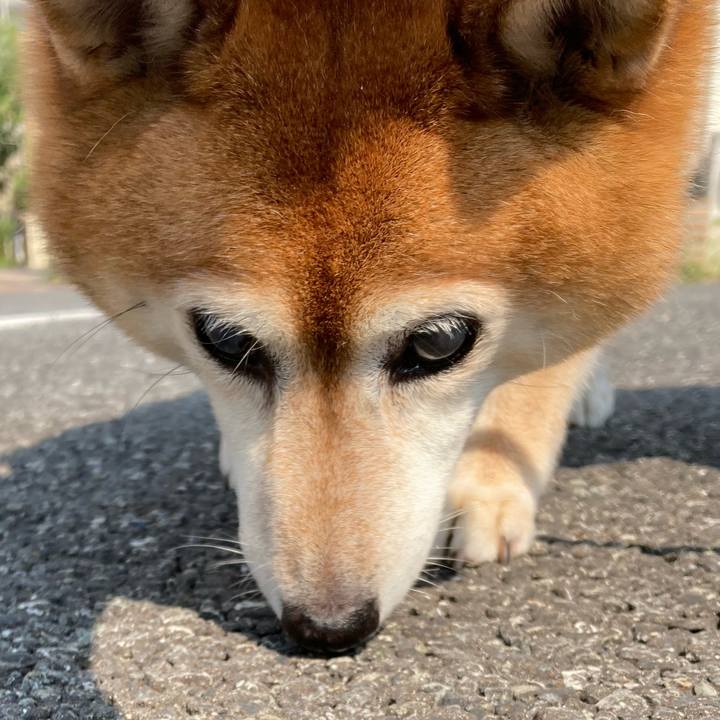 0599d02f 2c9a 4dcd ba11 ddcd4e20e2ad 1690429543967