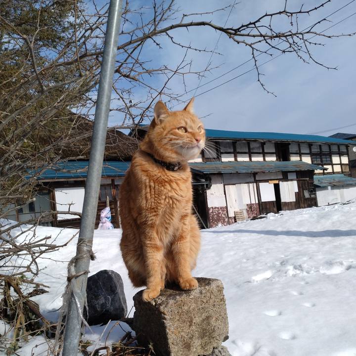 0599f353 ce05 413f 90f2 db1c7c82685d 1674527003941