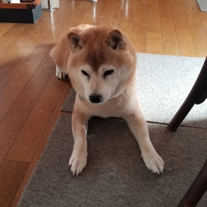 059a2075 d96a 4aaf 9dd6 44a7322f2795 1734313576386