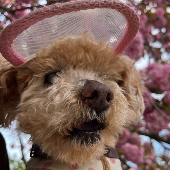 059a2334 f954 4b19 808a 2dc62ec22d79 1776067009680