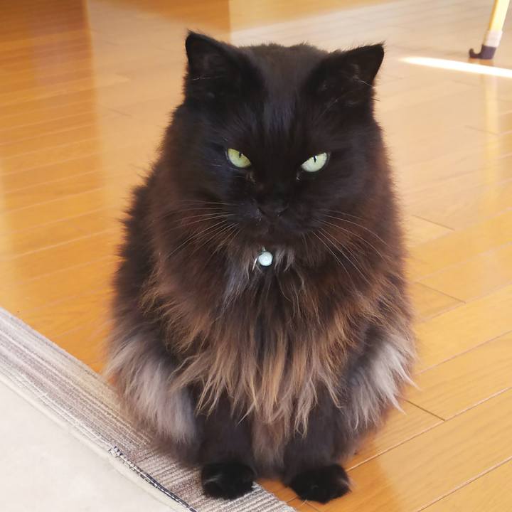 059a3859 694b 47a9 9543 1e78c94825ea 1626353882355