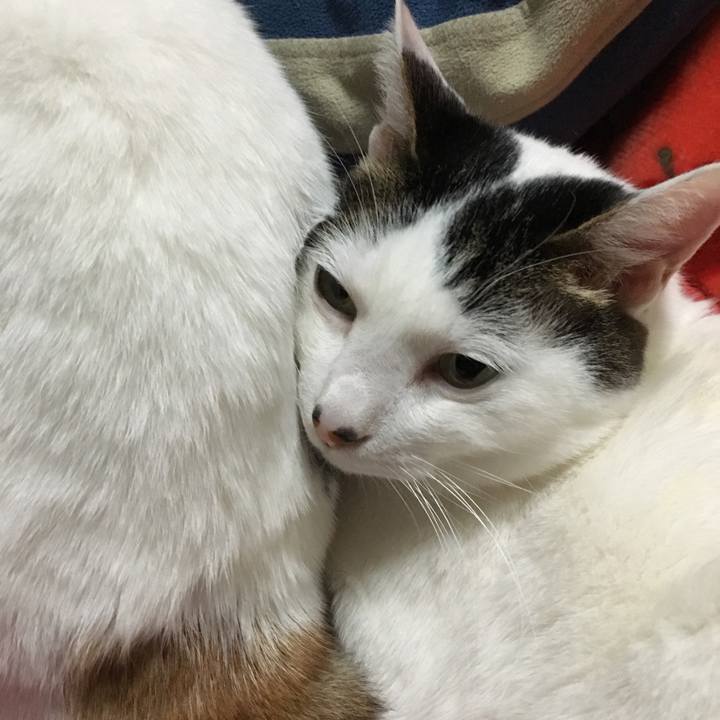 059a45c6 cdf3 49fe ab34 380386778f64 1519047418018