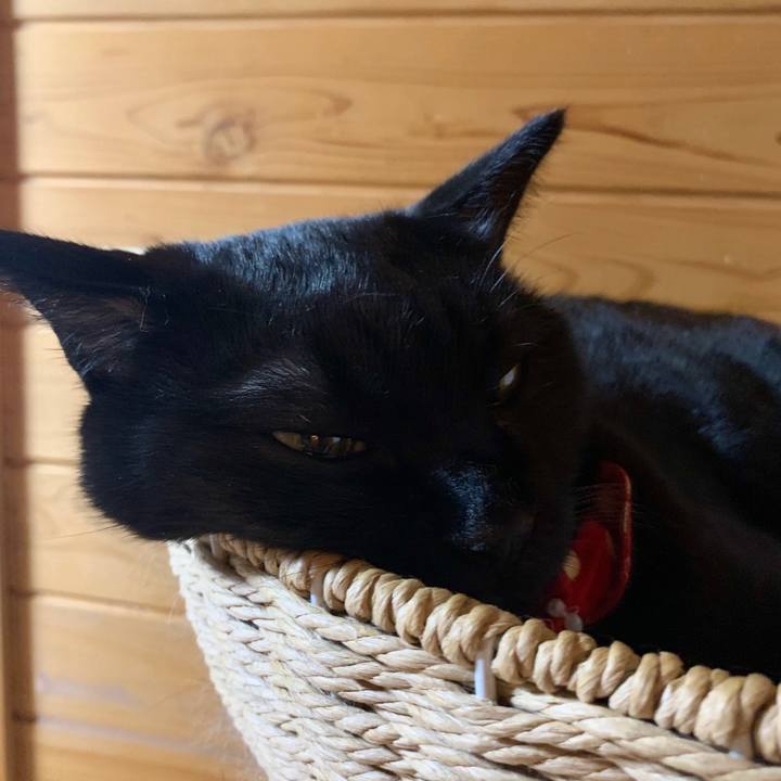 059a5520 467f 4834 a639 258cced818f8 1597663513739