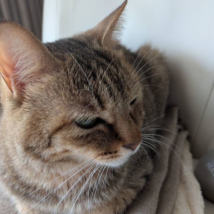 059a7504 05ac 44ba ba16 fe26e4e092c8 1763332071903