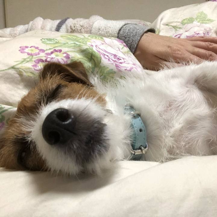 059a798a aba6 4c49 864e 094c6ea73a88 1542986583739