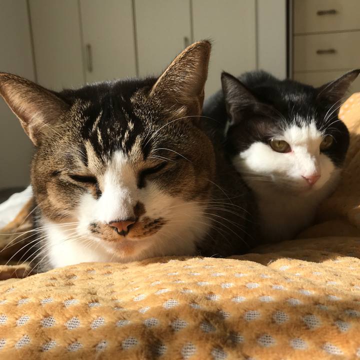 059a91a1 a012 41ed 90f8 d324d298be75 1546347560213