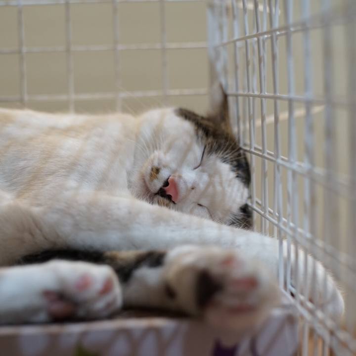 059b1b74 cb29 4c73 b12f e46ceff09680 1534684961328