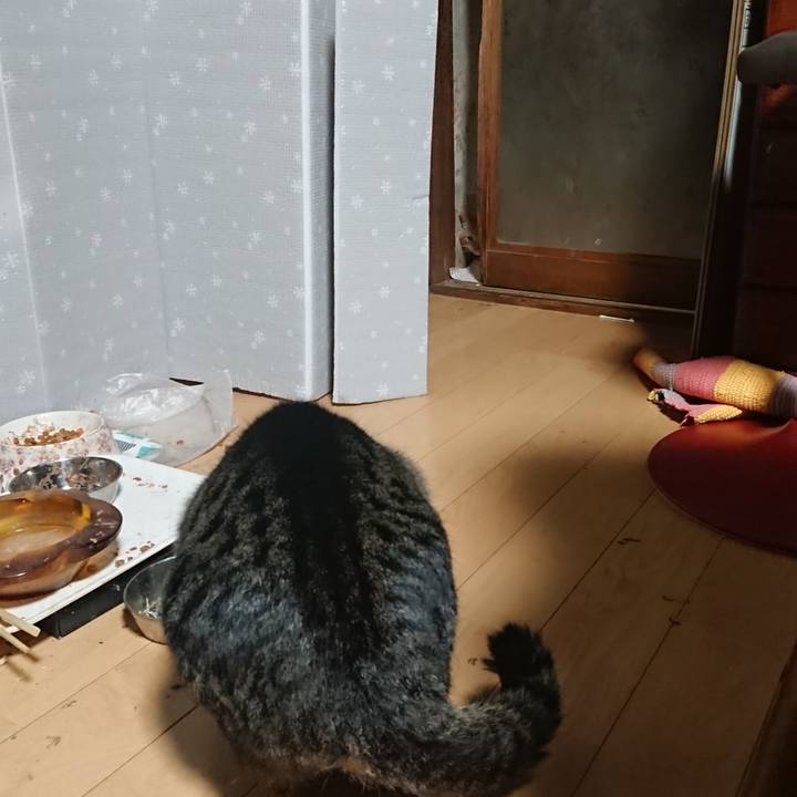 059b3504 b136 4bed aebd 1e2bb54e6c0f 1639600930397