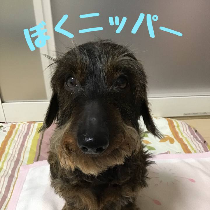 059b368b e7f7 4e2e b011 76c4d0a7dcac 1524582787731