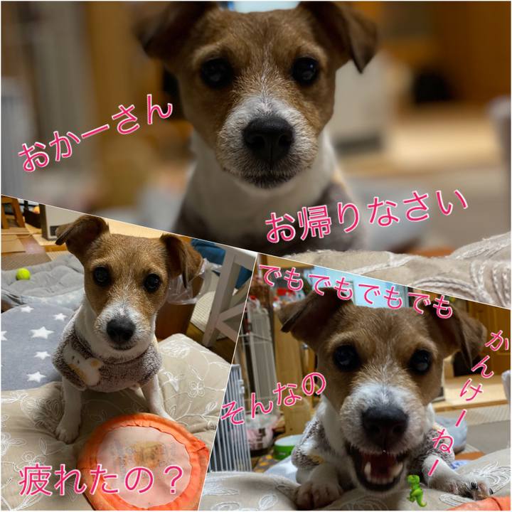 059baebf 382c 499b b85c d781b344f93a 1577453549619