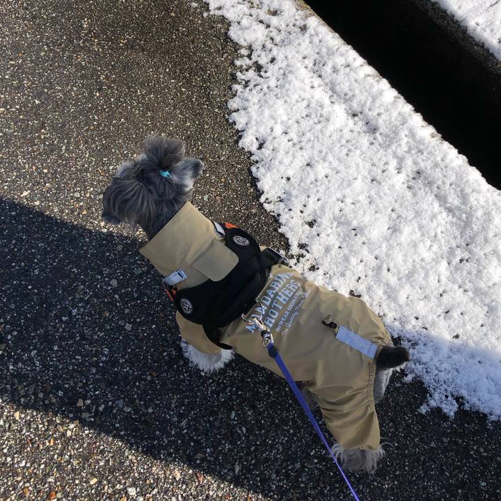 059bc98c 2486 4d69 9fe3 0990e379c027 1704684458741