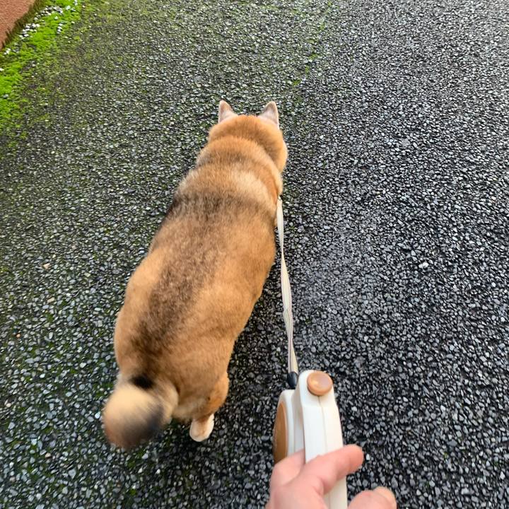 059bdbde 2313 4f52 9183 c2ede523864e 1670409377650