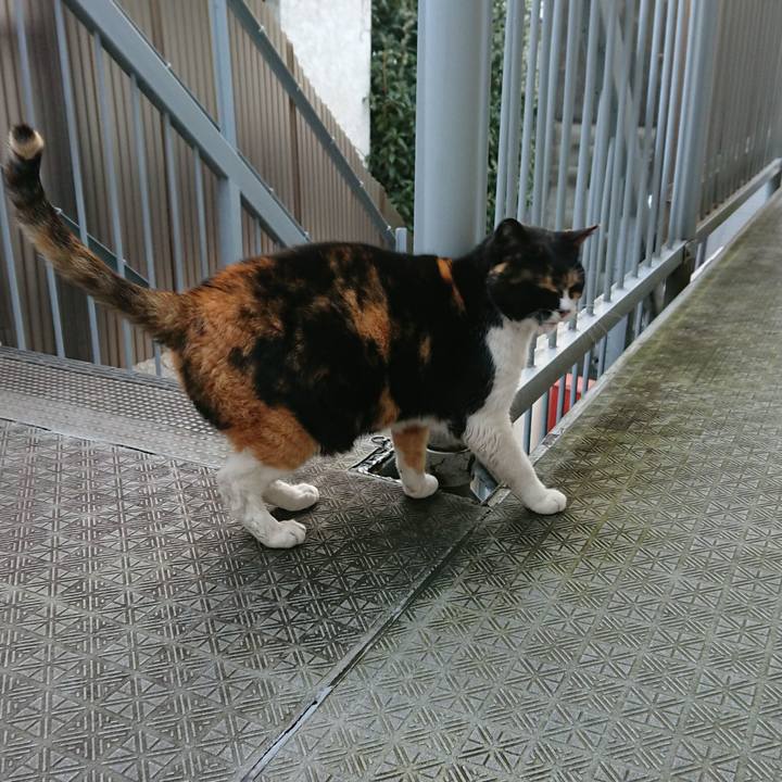 059be26c 54eb 4636 baef c82de55d98dc 1551741888076