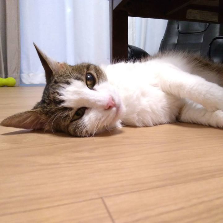 059bf16c cc59 4e29 86f3 e36ce117a986 1531910092574