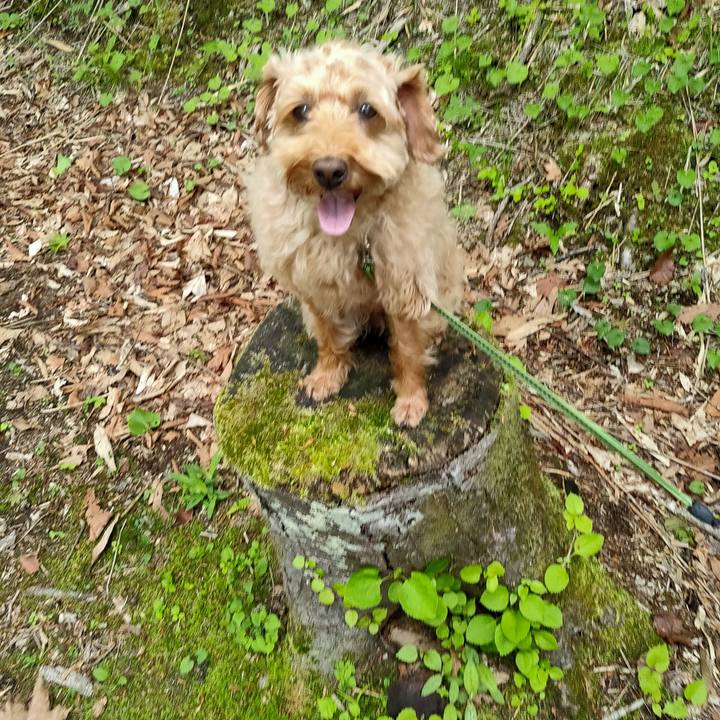 059c070e 14e6 48cc 9d48 efd2965d27ba 1591439589031