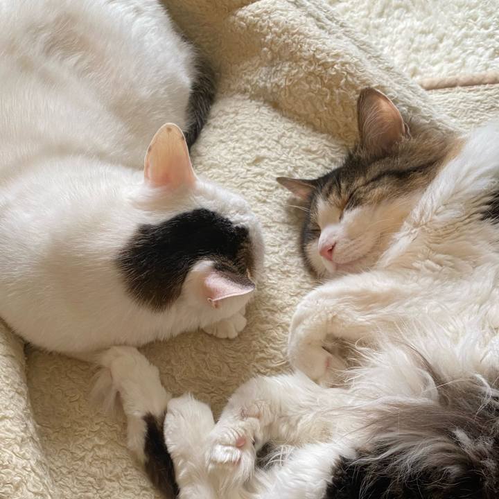 059c668c aedc 4d0a b1cf 44072d863dd9 1667342158681