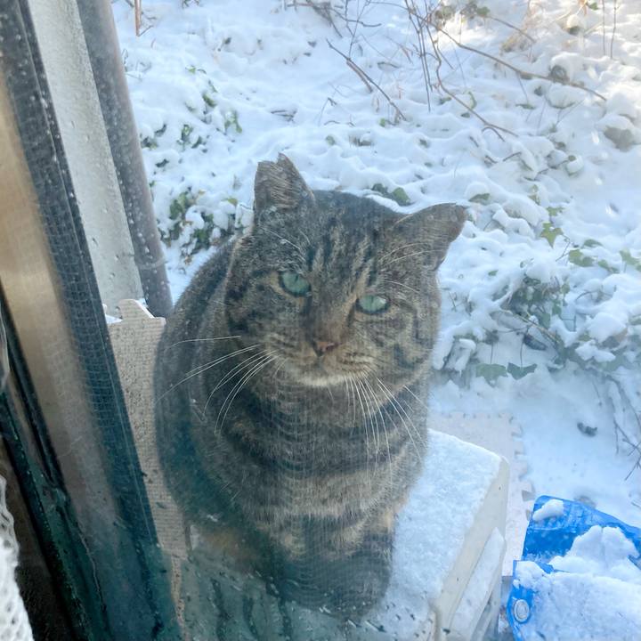 059c95f0 0b33 4d0c bd6f b37f8e53859e 1645751033551