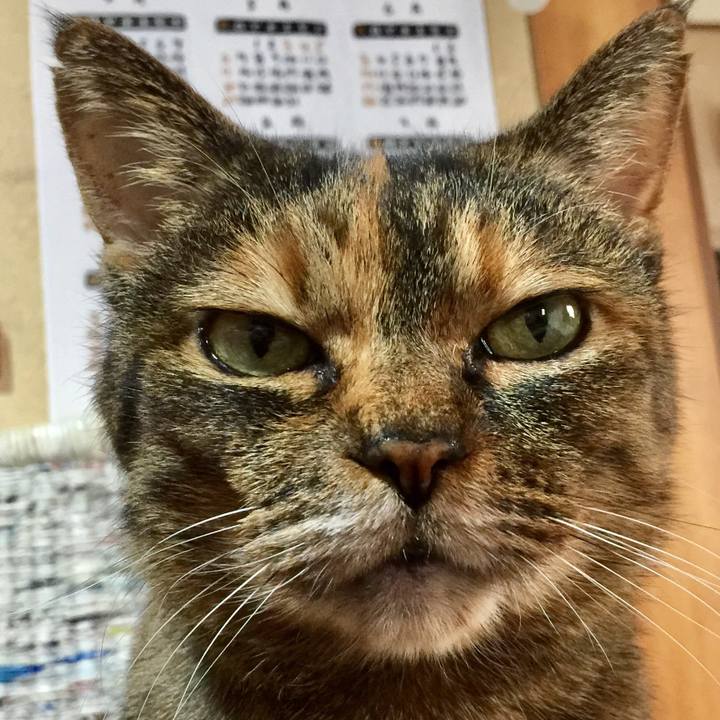 059c9dfb 93de 4456 8bb8 b0aadfd08fc0 1521519889827