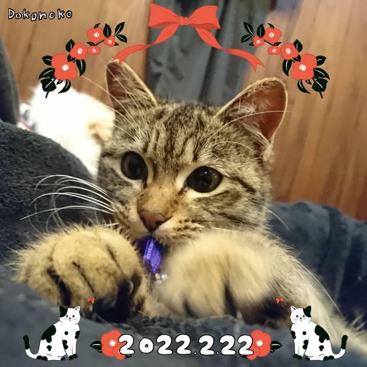 059ccded dfe0 4413 9e01 693dcf917dba 1645501064654