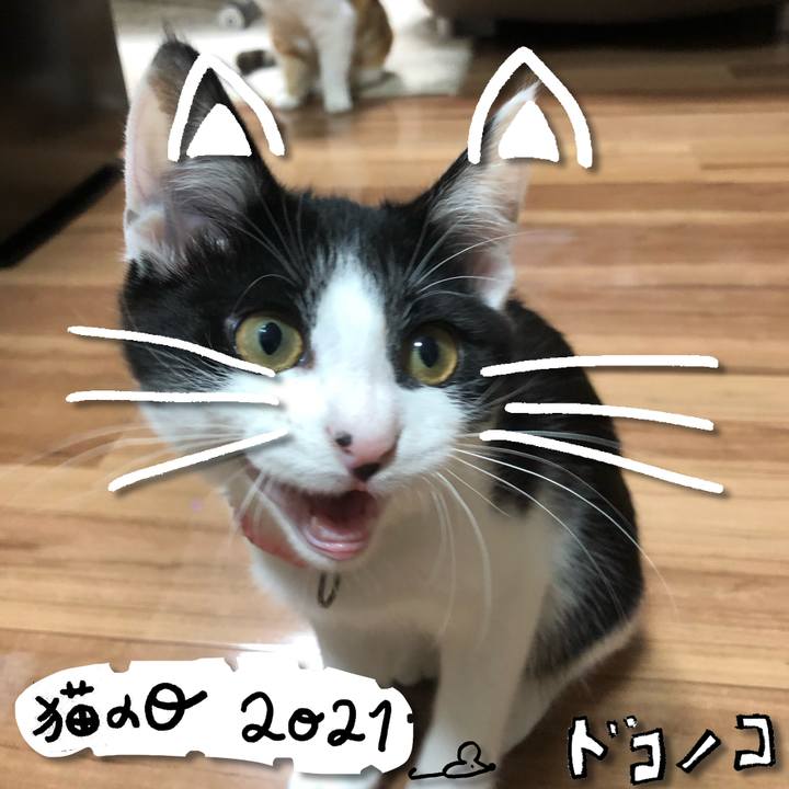 059ce576 ab6b 4e03 8fc0 600d2eba3176 1613966407223