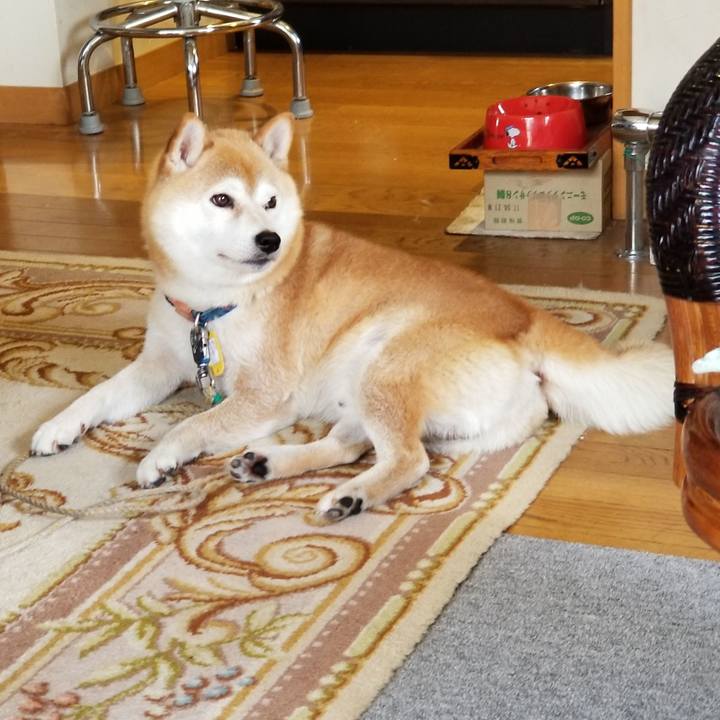 059cef65 e93d 4ee1 ac5c 40d9a29cffd2 1562563856747