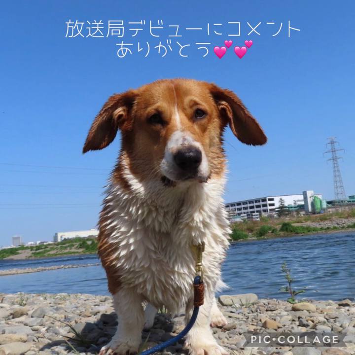 059cfa49 1b8b 43f7 be36 32249b37ed5d 1618928448984